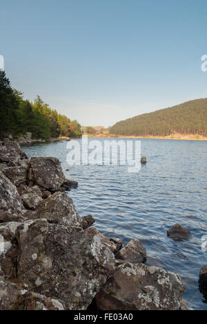 Llyn Geirionydd ein See in Nordwales am Rande des Gwydyr Forest und der Carneddau Berge in der Nähe von Betws y Coed North Wales Stockfoto