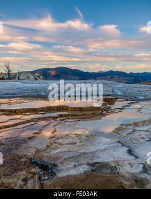 Yellowstone Nationalpark, WY: Abend Wolken reflektiert in den Thermalbädern auf den oberen Terrassen von Mammoth Hot Springs Stockfoto