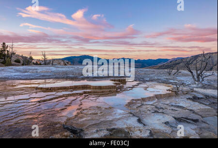 Yellowstone Nationalpark, WY: Sonnenuntergang Wolken reflektiert in den Thermalbädern auf den oberen Terrassen von Mammoth Hot Springs Stockfoto