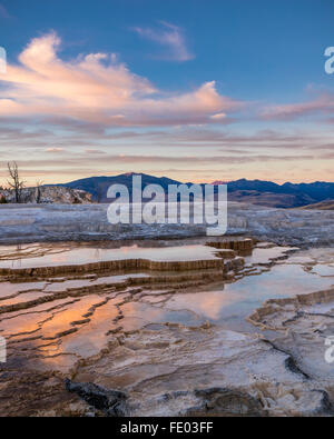 Yellowstone Nationalpark, WY: Sonnenuntergang Wolken reflektiert in den Thermalbädern auf den oberen Terrassen von Mammoth Hot Springs Stockfoto