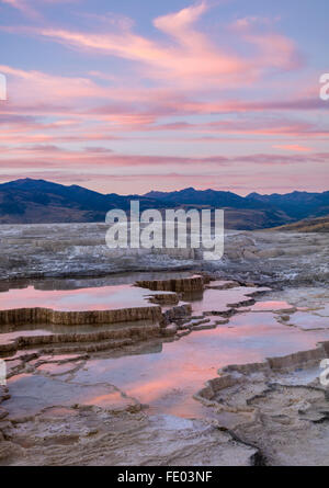 Yellowstone Nationalpark, WY: Sonnenuntergang Wolken reflektiert in den Thermalbädern auf den oberen Terrassen von Mammoth Hot Springs Stockfoto