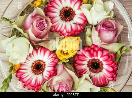 Arrangement mit Rosen und Gerbera Blüten in der Glasschale mit Wasser. Urlaub-Symbol. Stockfoto