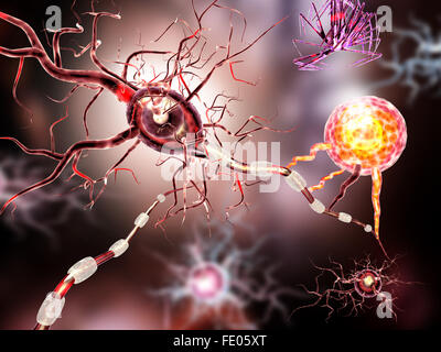 Nervenzellen, Konzept für neurologische Erkrankungen, Tumoren und Gehirn-Chirurgie. Stockfoto