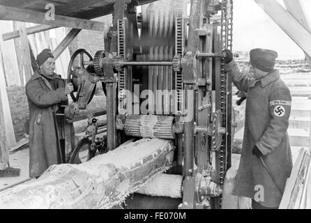 Das Nazi-Propagandafilm zeigt Arbeiter der Todt-Organisation, die in einem Sägewerk Holz schneiden. Das Foto wurde im Februar 1943 aufgenommen. Fotoarchiv für Zeitgeschichtee - KEINE ÜBERWEISUNG - Stockfoto