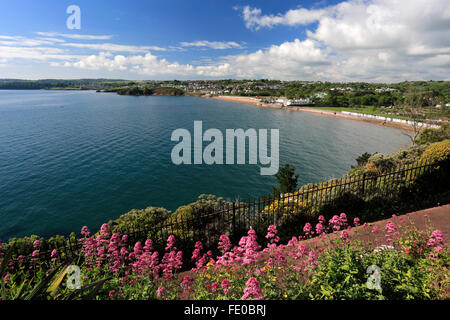 Die geschwungenen Goodrington Sands Beach, Torbay, englische Riviera, Grafschaft Devon, England, UK Stockfoto