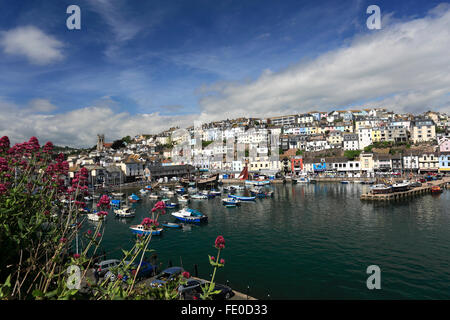 Sommer, Angelboote/Fischerboote in Brixham Hafen, Brixham Stadt, Torbay, englische Riviera, Grafschaft Devon, England, UK Stockfoto