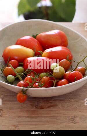 Frisch gepflückten Tomaten Stockfoto