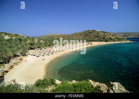 Griechenland, Kreta, Vai Beach, der einzige Palmenwald in Europa Stockfoto