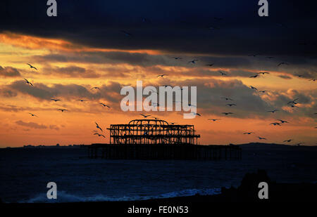 Brighton, UK. 3. Februar 2016. UK-Wetter: Möwen strömen über Brighton Beach und West Pier bei Sonnenuntergang nach einem Tag sonnig, aber kühl an der Südküste Credit: Simon Dack/Alamy Live News Stockfoto