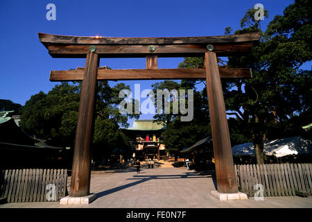 Japan, Tokio, Meiji-Jingu-Schrein, Torii Stockfoto