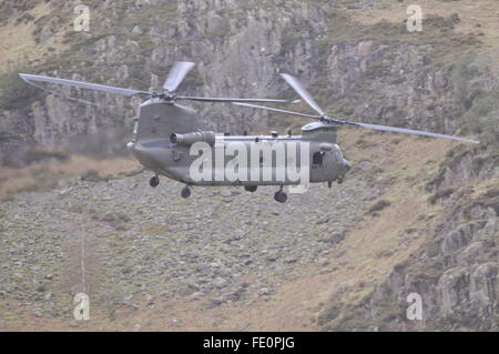 Chinook - englischen Lake District Stockfoto