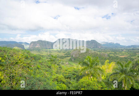 Blick auf die grüne Landschaft des Tal von vinales Stockfoto