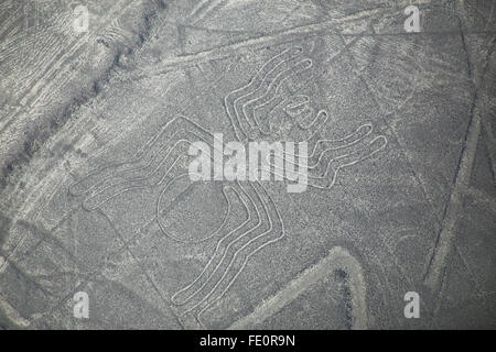 Luftaufnahme von Nazca-Linien - Spider Geoglyph, Peru. Die Linien wurden im Jahr 1994 als UNESCO-Weltkulturerbe ausgewiesen. Stockfoto