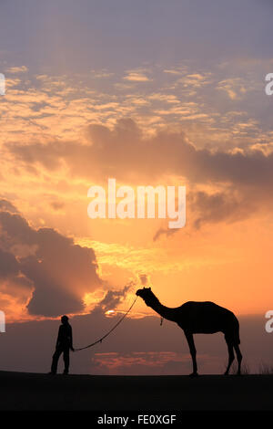 Silhouette Person mit einem Kamel bei Sonnenuntergang, Thar-Wüste in der Nähe von Jaisalmer, Rajasthan, Indien Stockfoto