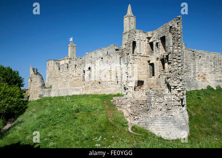 Warkworth Castle, Warkworth Castle, England, Vereinigtes Königreich Stockfoto