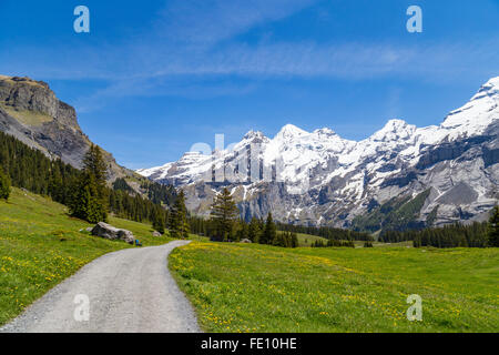 Herrlichen Blick auf die Schweizer Alpen und Wiesen in der Nähe von Oeschinensee (Oeschinensees See), im Berner Oberland, Schweiz Stockfoto