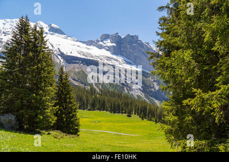 Herrlichen Blick auf die Schweizer Alpen und Wiesen in der Nähe von Oeschinensee (Oeschinensees See), im Berner Oberland, Schweiz Stockfoto