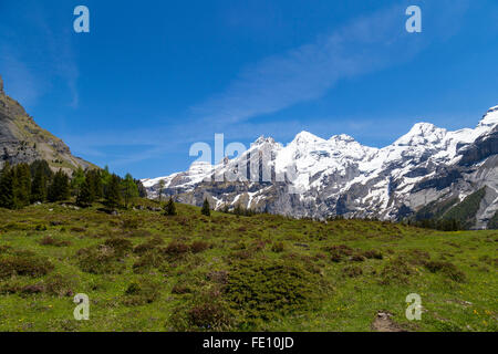 Herrlichen Blick auf die Schweizer Alpen und Wiesen in der Nähe von Oeschinensee (Oeschinensees See), im Berner Oberland, Schweiz Stockfoto