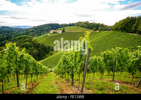 Weinberge an der South Steirische Weinstraße im Herbst, Österreich Europa Stockfoto