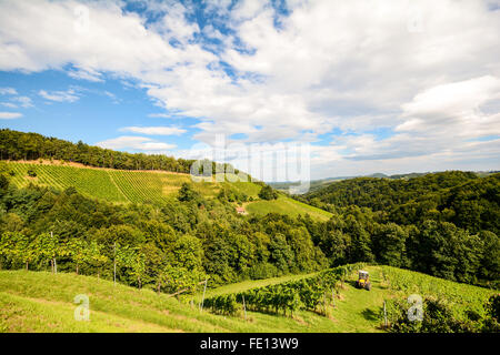 Weinberge an der South Steirische Weinstraße im Herbst, Österreich Europa Stockfoto