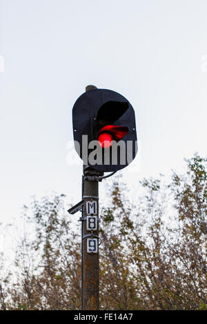 Ampel-Zug auf einem weißen Hintergrund Stockfoto