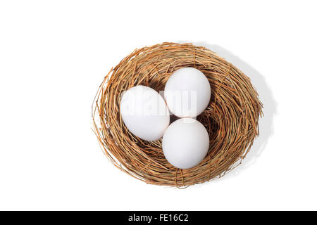 Studioaufnahme von drei weißen Eiern im Vogelnest auf weißem Hintergrund Stockfoto