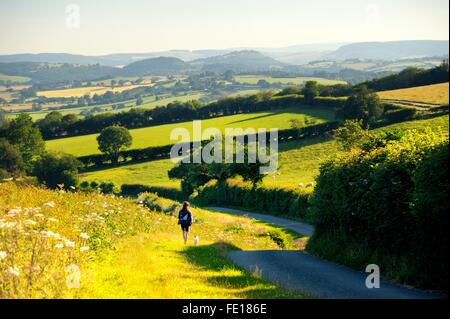 Junge Frau zu Fuß SW Fuhrleuten Wandern ländliche Straße auf der Ostflanke des Ragleth Hill, Shropshire, England in Richtung Little Stretton Stockfoto
