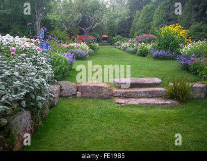 Northeast Harbor, Maine: Thuja Garten Stockfoto