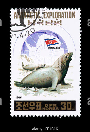 Briefmarke aus Nordkorea Darstellung ein See-Elefant, antarktischen Erforschung. Stockfoto