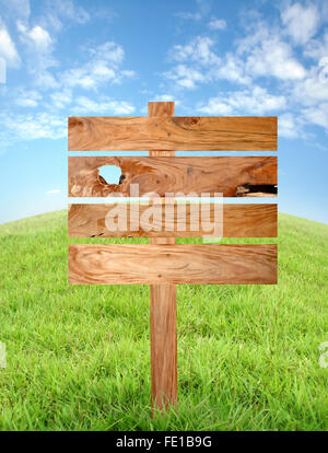 hölzerne Schild mit Wiese und blauer Himmel Stockfoto