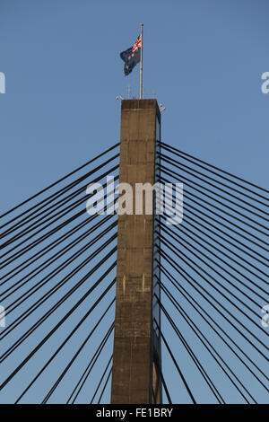 Die ANZAC Bridge gesehen vom Glebe Foreshore Weg – Sydney, Australien Stockfoto