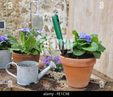 kleine Schaufel in einen Blumentopf auf Holztisch Garten Stockfoto