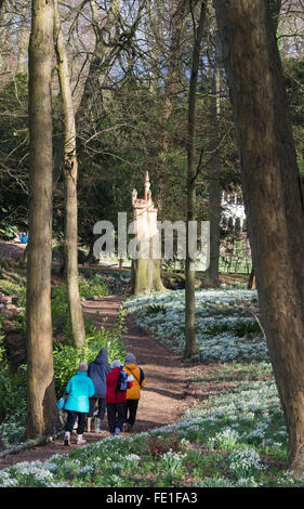 Schloss Baum Skulptur und Schneeglöckchen in Painswick Rokoko Gardens. Cotswolds, Gloucestershire, UK Stockfoto