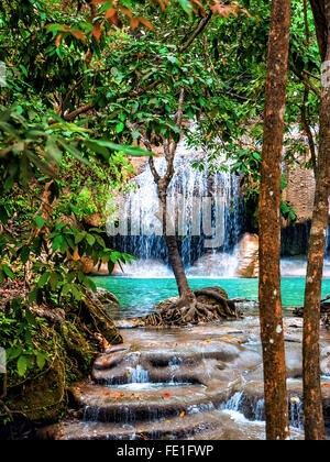 Wasserfall im Dschungel Stockfoto