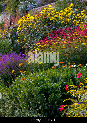 Blick über die formalen Garten Grenzen im Spätsommer auf Powis Castle in der Nähe von Welshpool Powys Wales UK Stockfoto