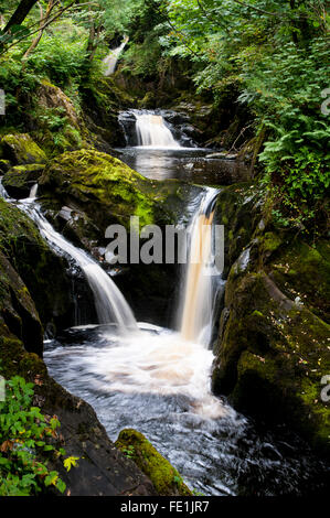 Pecca Twin fällt auf den Fluß Twiss, Ingleton Wasserfälle Weg, Ingleton in der Yorkshire Dales National Park, North Yorkshire. Stockfoto