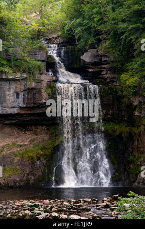 Thornton Kraft auf den Fluß Twiss, Ingleton Wasserfälle Trail, Ingleton in der Yorkshire Dales National Park, North Yorkshire. Au Stockfoto