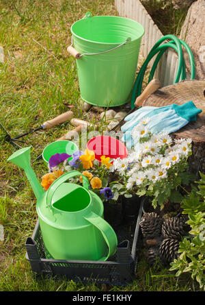 Garten-Tools auf dem Rasen im Garten Stockfoto