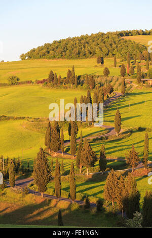 Val d ' Orcia, Toskana, Italien Stockfoto