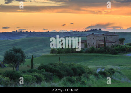 Val d ' Orcia, Toskana, Italien Stockfoto