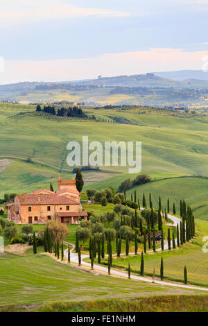 Terrapille, Pienza, Toskana, Italien Stockfoto