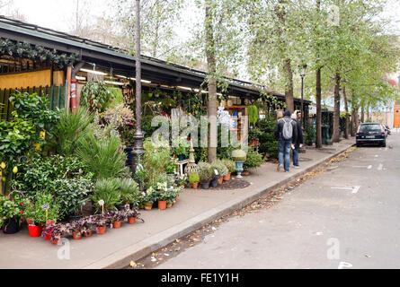 Blumen- und Vogelmarkt auf dem Place Lepine, marche aux fleurs, marche aux fleurs, Place Louis Lépine Markt, Paris, Frankreich. Stockfoto