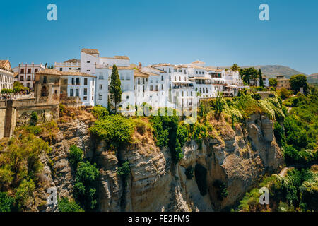 Traditionelle weiße Häuser über die Schlucht Tajo de Ronda in Guadalevin Fluss auf gebaut ist die Stadt Ronda, Spanien Stockfoto