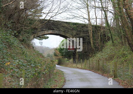 Der Ystwyth Trail, Teil der alten Aberystwyth Carmarthen Eisenbahnlinie nun von Wanderern und Radfahrern genutzt Stockfoto