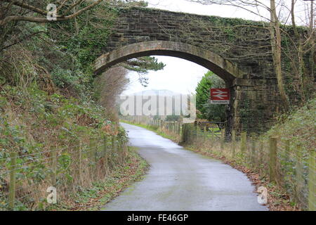 Der Ystwyth Trail, Teil der alten Aberystwyth Carmarthen Eisenbahnlinie nun von Wanderern und Radfahrern genutzt Stockfoto