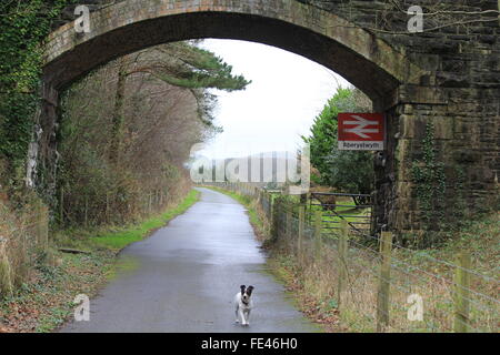 Der Ystwyth Trail, Teil der alten Aberystwyth Carmarthen Eisenbahnlinie von Wanderer & Radfahrer genutzt Stockfoto