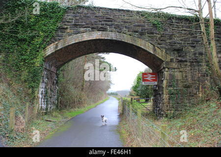 Der Ystwyth Trail, Teil der alten Aberystwyth Carmarthen Eisenbahnlinie nun von Wanderern und Radfahrern genutzt Stockfoto