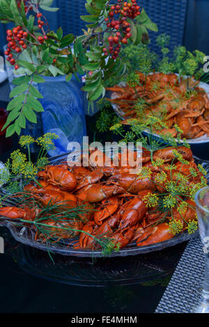 Für die schwedischen Crayfish party Stockfoto