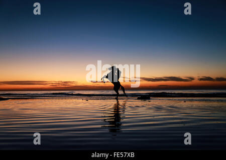 Gaza-Stadt, Gazastreifen, Palästinensische Gebiete. 4. Februar 2016. Ein palästinensischer Mann reitet Pferd während des Sonnenuntergangs am Strand von Gaza-Stadt am 4. Februar 2016 Credit: Mohammed Dahman/APA Bilder/ZUMA Draht/Alamy Live News Stockfoto