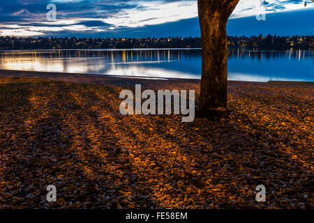 Landschaft, beleuchtet von Straßenlaternen mit dem Licht der Dämmerung-Himmel in Green Lake Park, Seattle, Washington State, USA Stockfoto